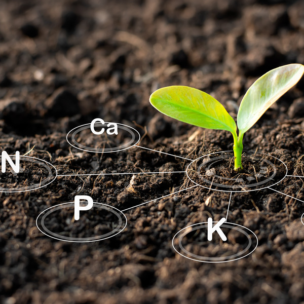 Biological Growth Promoters