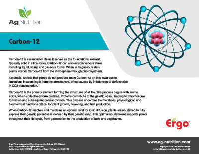 Carbon 12