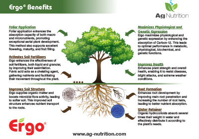 Ergo Benefits