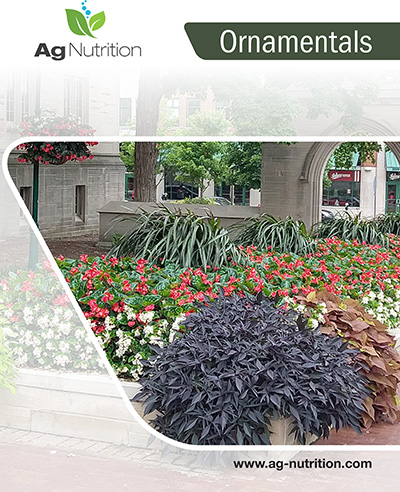 Ornamentals